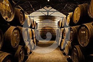 Old aged traditional wooden barrels with wine in a vault lined up in cool and dark cellar in Italy, Porto, Portugal, France