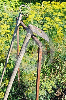 Old agrarian tools in garden