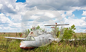 Old aircraft in elderberry bush, Aero L-29 Delfin Maya czechoslovakian military jet trainer