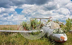 Old aircraft in elderberry bush, Aero L-29 Delfin Maya czechoslovakian military jet trainer