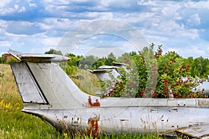 Old aircrafts in elderberry bush