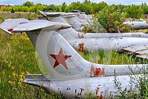 Old aircrafts in elderberry bush, Aero L-29 Delfin Maya czechoslovakian military jet trainer