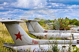 Old aircrafts in elderberry bush, Aero L-29 Delfin Maya czechoslovakian military jet trainer