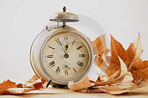 Old alarm clock surrounded by dry leaves