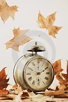 Old alarm clock surrounded by dry leaves