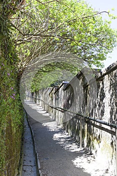 Old alley with mossy stone wall