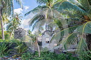 Old ancient abandoned ruined house in the jungles tree in the village at tropical island