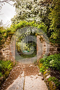 Old, ancient gate in the beautiful garden