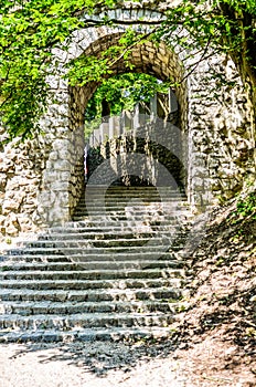 Old Ancient vintage castle stone stairs with trees and forest.