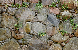 Old anticient stone wall from rough rocks with moss and wild plants, background, texture