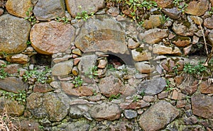 Old anticient stone wall from rough rocks with moss and wild plants of weeds, background, texture