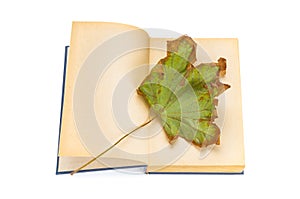Old antique open book and dry maple leaf on white background
