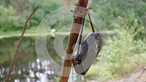 Old Antique Radio in a Leather Case Weighs on a Tree Branch in Forest in Nature