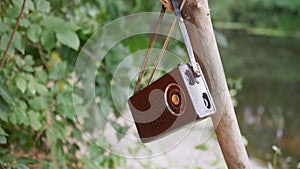 Old Antique Radio in a Leather Case Weighs on a Tree Branch in Forest in Nature