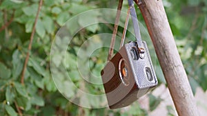 Old Antique Radio in a Leather Case Weighs on a Tree Green Branch on Nature