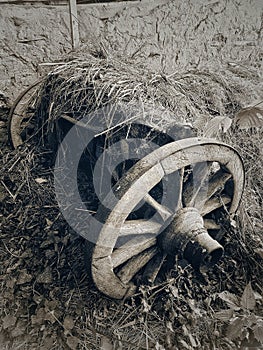 Old antique wagon wheel