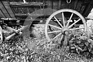 Old antique wagon wheel