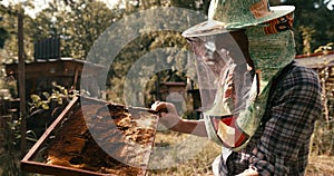 Old apiarist in hat veil is inspecting the honeycomb fuul of bees. SHot on RED camera. 4k footage.