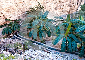 Old aqueduct in mountains