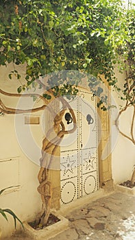 Old Arabic door with ornament. architecture element