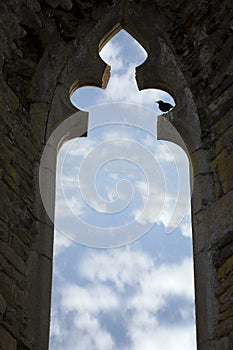 Old arch window with starling