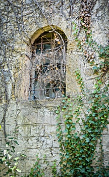 An old arched window and ivy foliage on rough stone wall