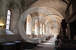 Old arches on vineyard photo