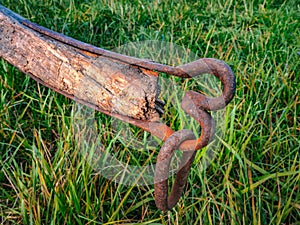 Old ard in greenery field field