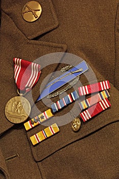 Old Army Insignia