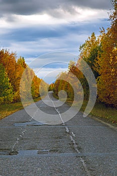 Old asphalt road along the autumn forest