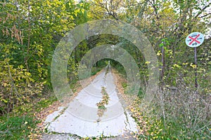 Old asphalted rural road along the forest