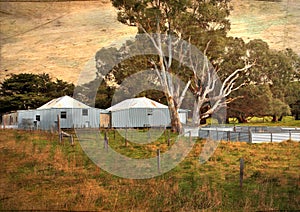 Old Australian sheep shearing sheds photo