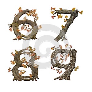 Old autumn tree alphabet - digits 3-5