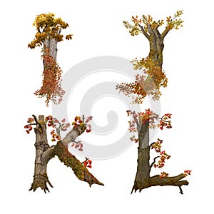 Old autumn tree alphabet - letters I-L