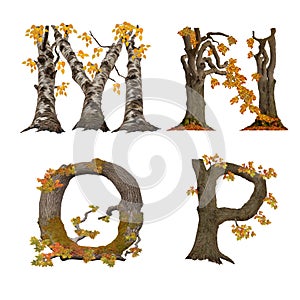 Old autumn tree alphabet - letters M-P photo