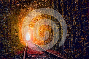 Old Autumn Trees Tunnel with old railway - Tunnel of Love. Natural tunnel of love formed by trees