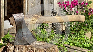 an old ax stuck in a tree stump on a farm