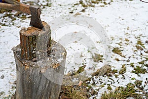 An old ax with an wooden handle sticks out in a cloven stump