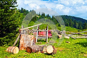 Old axe in the chopping block in the meadow field