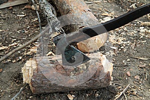 Old axe and log