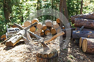 Old axe standing against a piled pieces of firewood