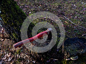 An old axe sticking out in a dead tree covered with moss.