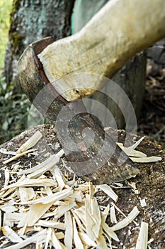 Old axe is stuck in a stump, close-up abstract background