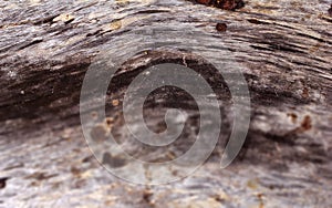 Old background, black, gray, traces, classic sign, old wood
