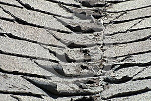 Old Bad and Curling Roof Shingles on a House or Home