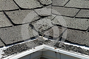 Old Bad and Curling Roof Shingles on a House or Home photo