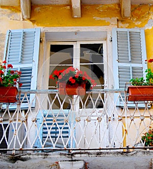 Old Doorway with Blue Shutters and Red Flowers