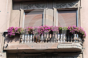 Old balcony with flower