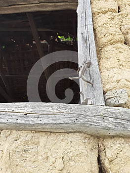 Old Balkan house clay wall. Vintage village clay bricks wall