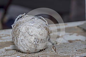 An old ball of yarn on the windowsill of an abandoned, dilapidated house.